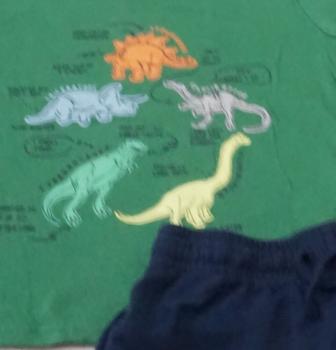T-Shirt von Kiki & Koko mit kurzer Hose von H&M Gr. 98 (3726)